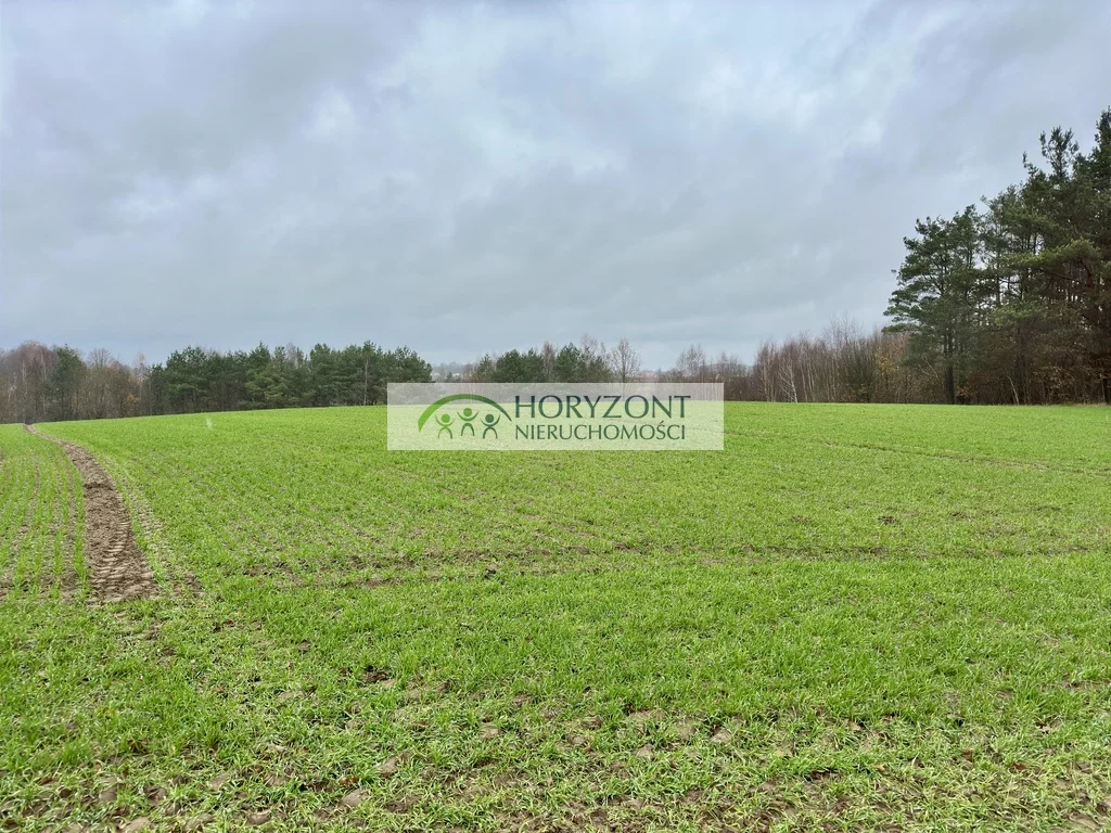 Działka 21 957,00 m², oferta nr , 5268/260/OGS, Miszewo