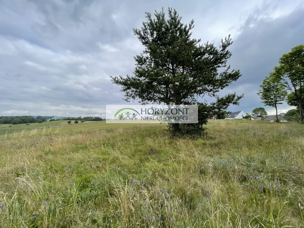 Działka 5 047,00 m², oferta nr , 5424/260/OGS, Nowa Wieś Przywidzka