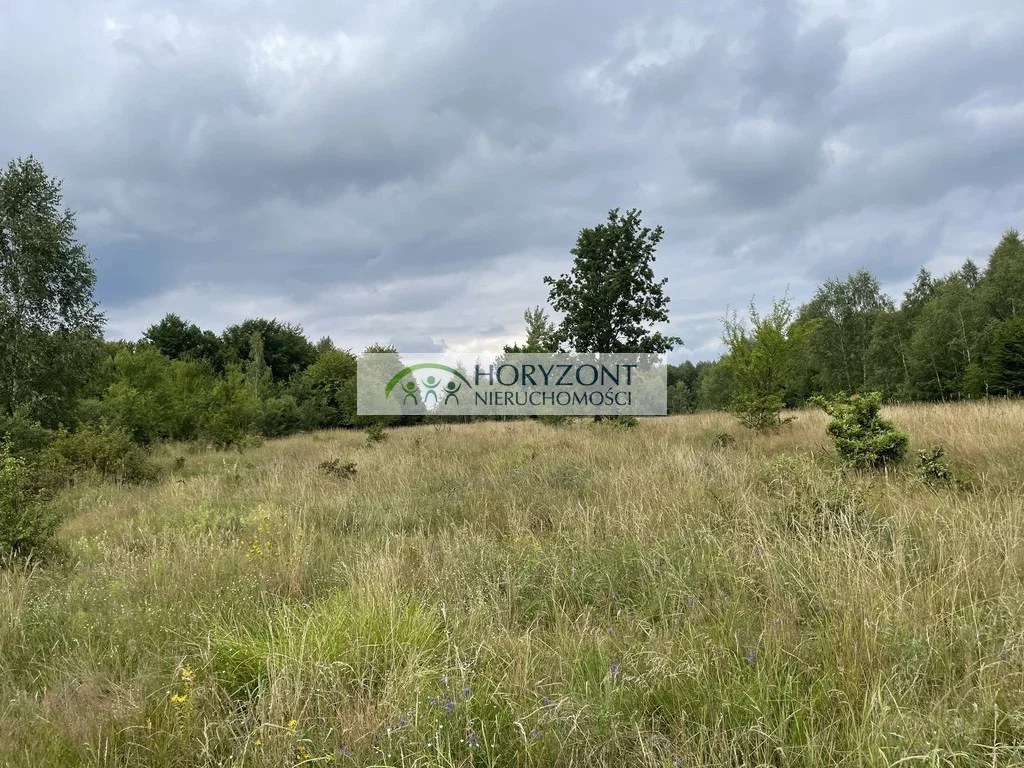Działka 5 047,00 m², oferta nr , 5424/260/OGS, Nowa Wieś Przywidzka