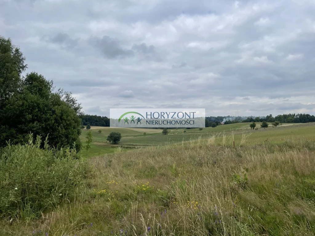 Działka 5 047,00 m², oferta nr , 5469/260/OGS, Nowa Wieś Przywidzka