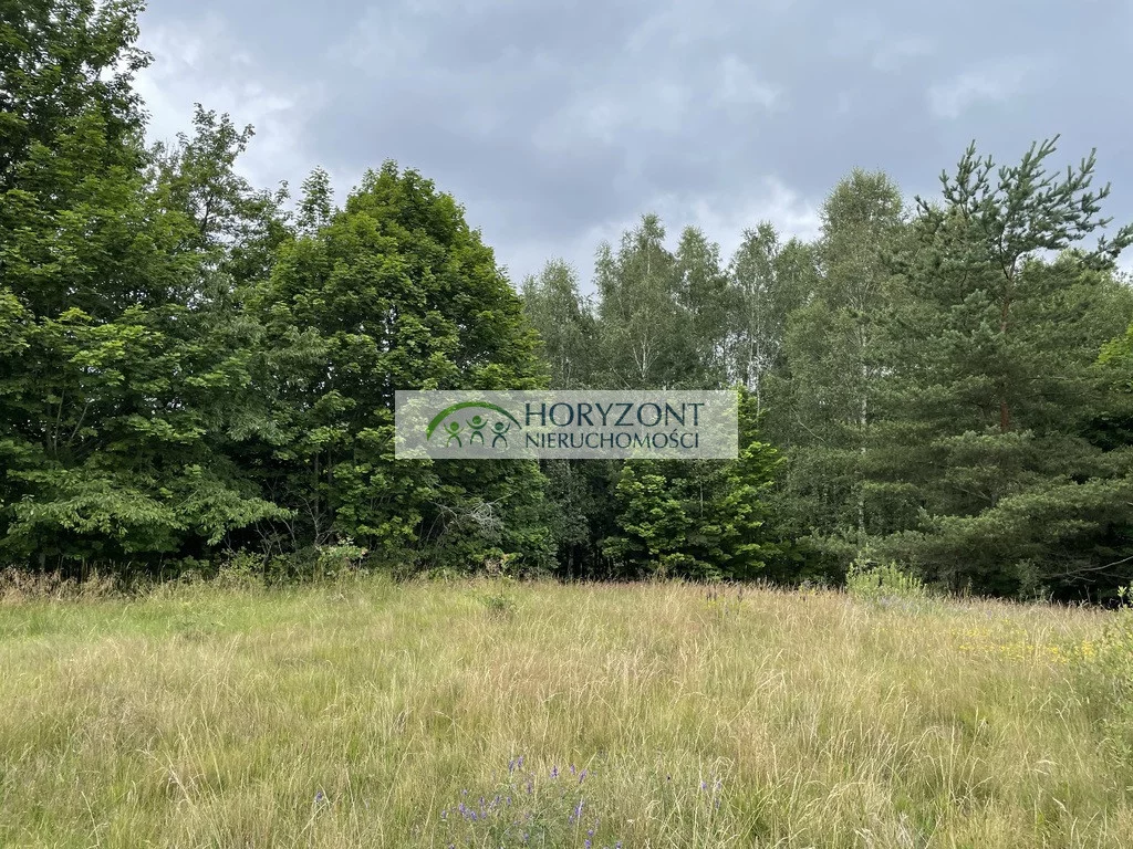 Działka 5 047,00 m², oferta nr , 5469/260/OGS, Nowa Wieś Przywidzka