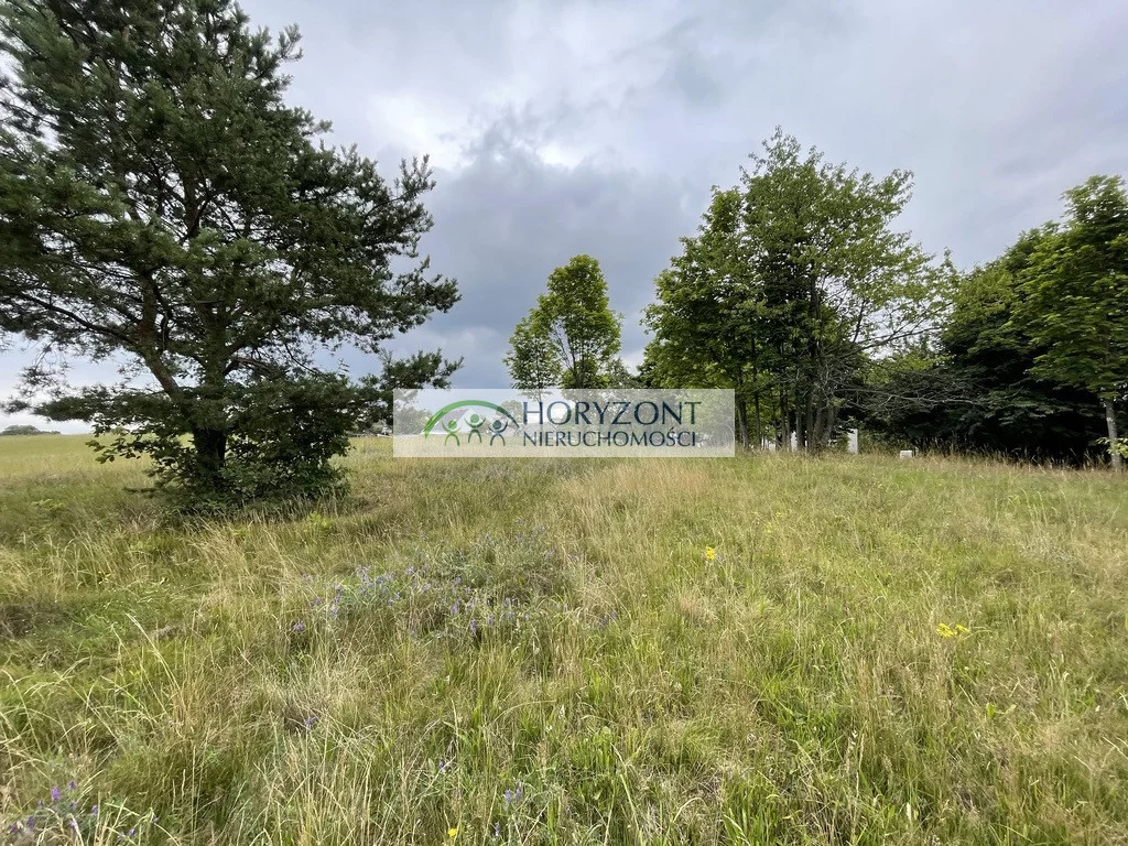 Działka 5 047,00 m², oferta nr , 5469/260/OGS, Nowa Wieś Przywidzka