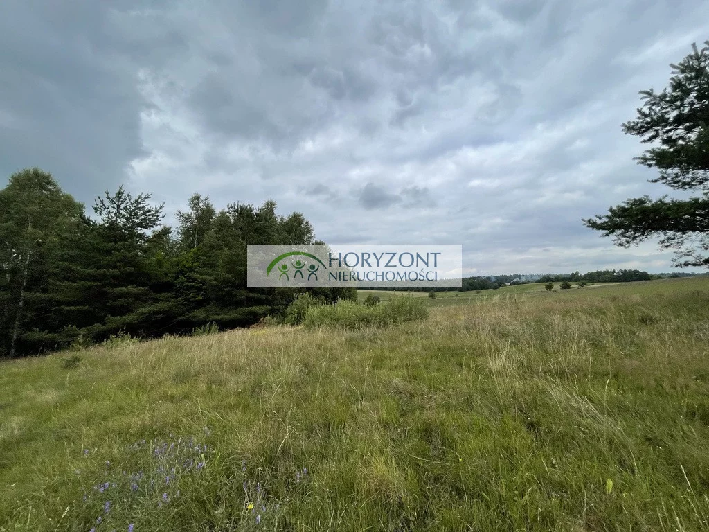 Działka 5 047,00 m², oferta nr , 5469/260/OGS, Nowa Wieś Przywidzka