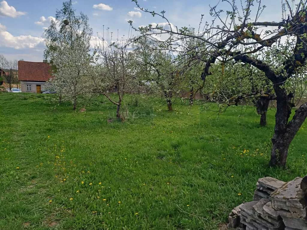 6361/2145/ODS - zdjęcie nr 2