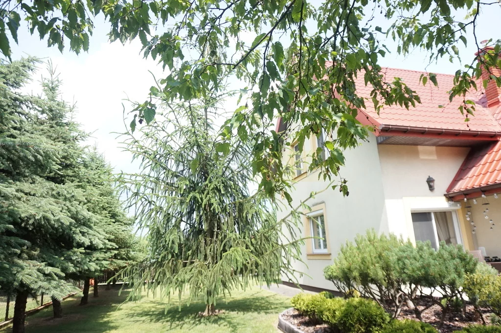6545/2145/ODS - zdjęcie nr 3