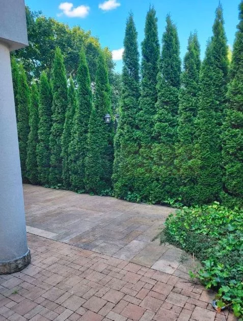 Dom i rezydencja 270,00 m², oferta nr , 2348/2145/ODS, Warszawa, Bielany, Bielany