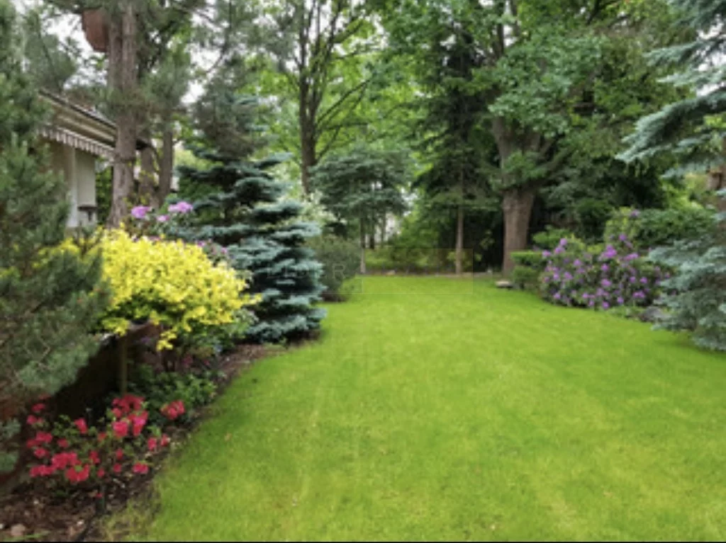 Dom 444,00 m², oferta nr , 6648/2145/ODS, Dąbrowa