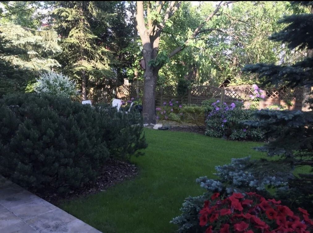 Dom 444,00 m², oferta nr , 6648/2145/ODS, Dąbrowa