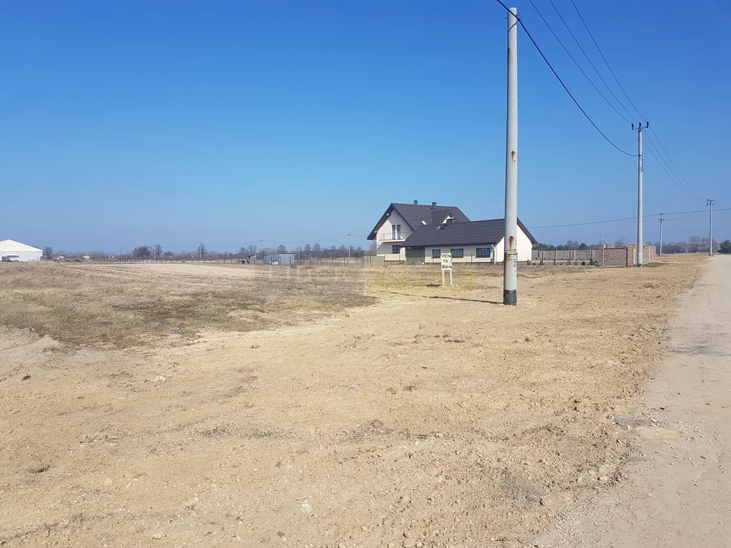 2377/2145/OGS - zdjęcie nr 1