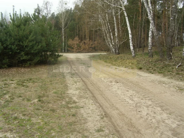 Apartamenty 7346/2145/OGS Dębina