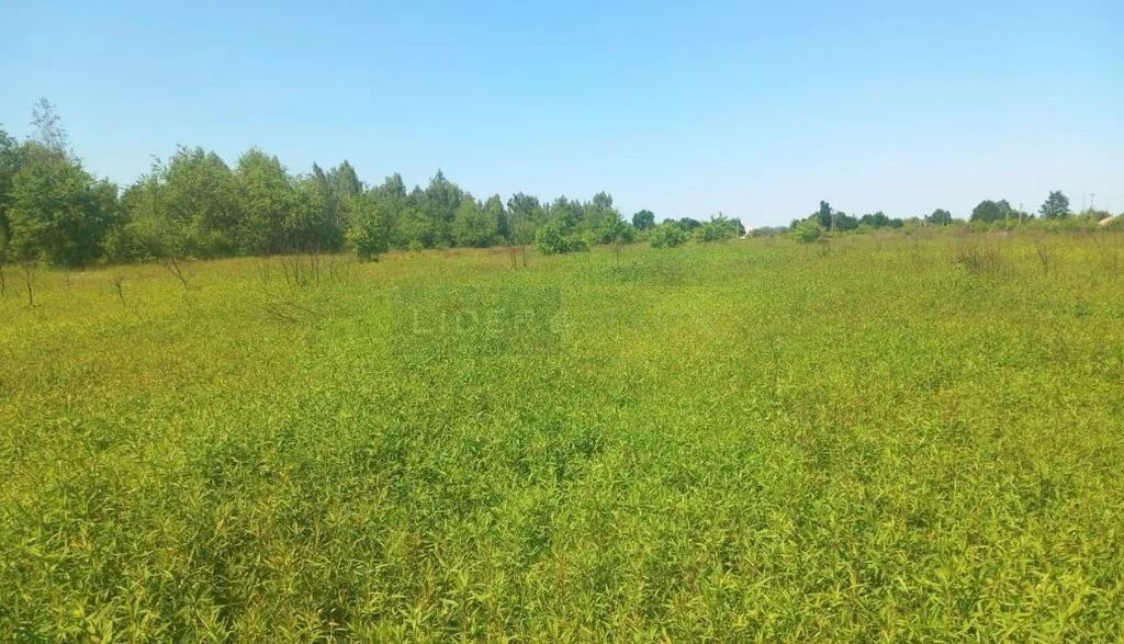 Apartamenty 7262/2145/OGS Dziekanów Polski
