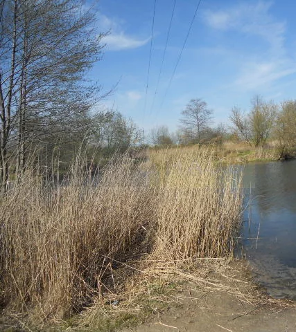 Działka 2 830,00 m², oferta nr , 2307/2145/OGS, Izabelin