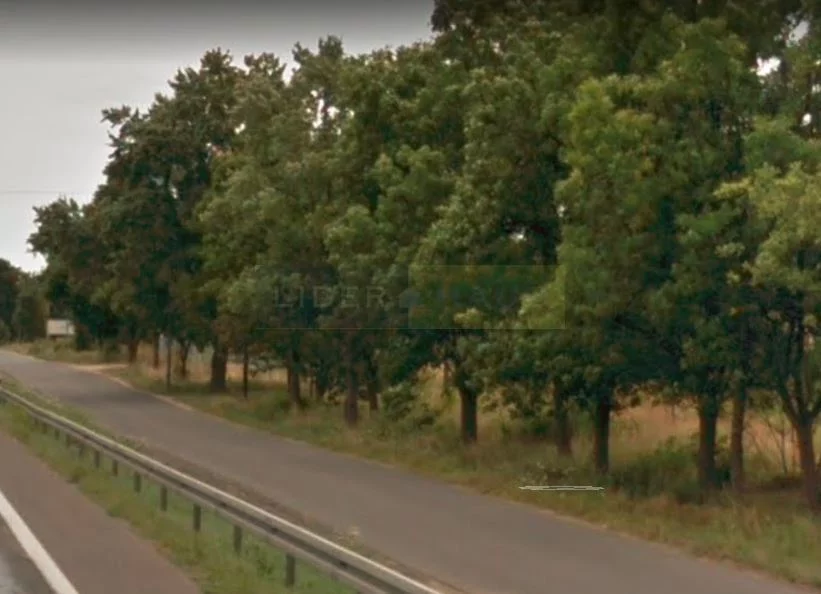 Działka 5 534,00 m², oferta nr , 7125/2145/OGS, Izabelin-Dziekanówek