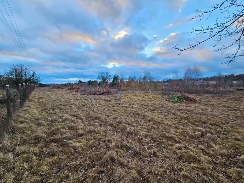 Działka 5 247,00 m², oferta nr , 6437/2145/OGS, Izabelin-Dziekanówek
