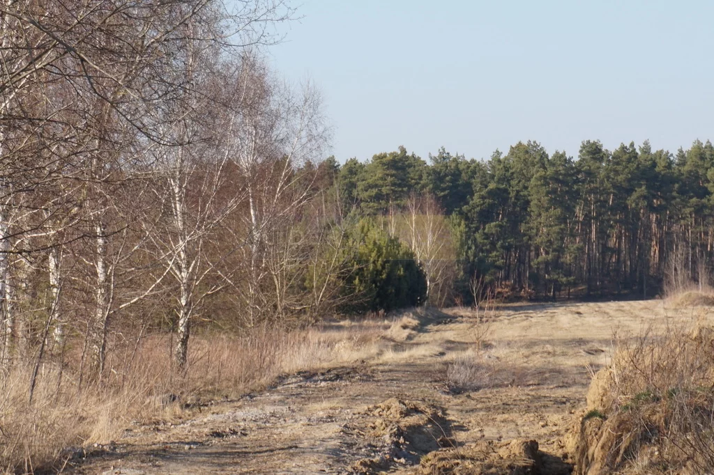 Działka 15 400,00 m², oferta nr , 7324/2145/OGS, Jesionka