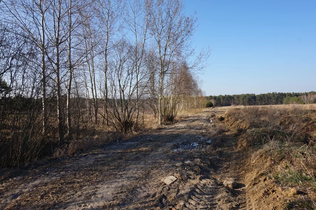 Działka 15 400,00 m², oferta nr , 7324/2145/OGS, Jesionka