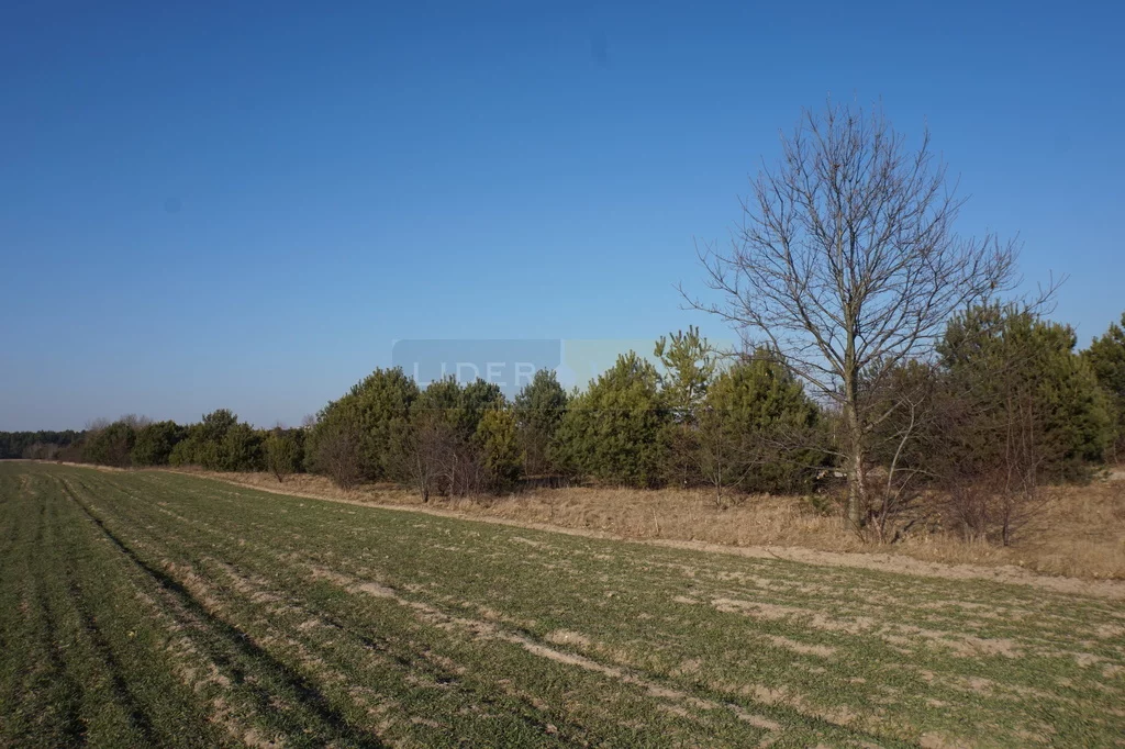 Działka 15 400,00 m², oferta nr , 7324/2145/OGS, Jesionka