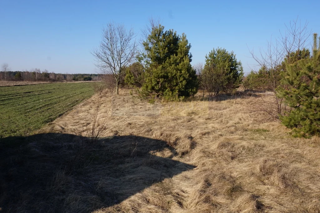 Działka 15 400,00 m², oferta nr , 7324/2145/OGS, Jesionka