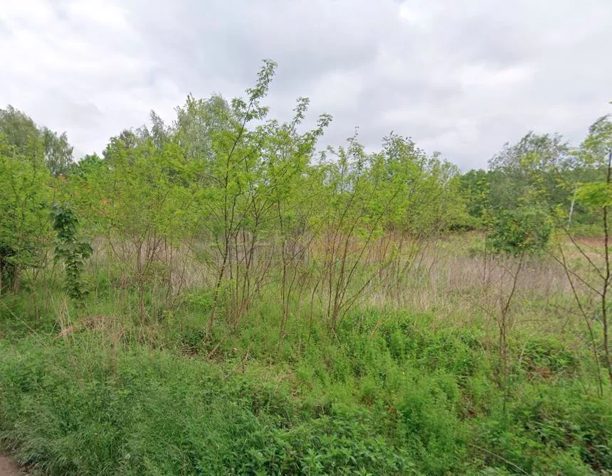 Działka 9 730,00 m², oferta nr , 7145/2145/OGS, Klaudyn