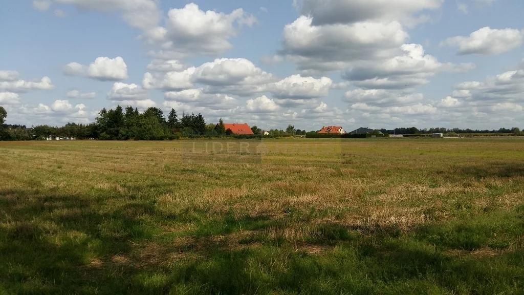 Działka 3 000,00 m², oferta nr , 3563/2145/OGS, Leszno