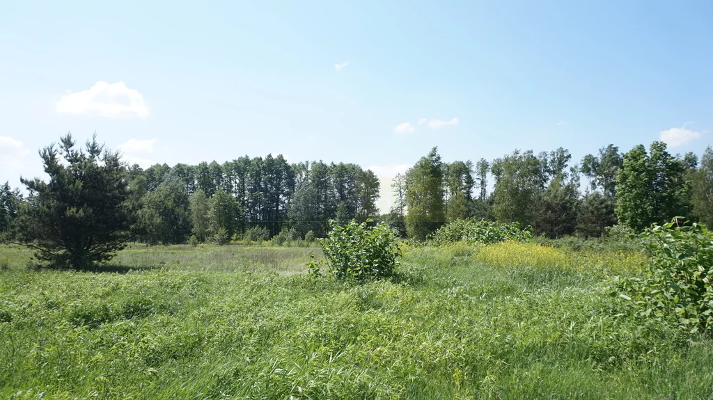 Działka 13 905,00 m², oferta nr , 6237/2145/OGS, Łomianki
