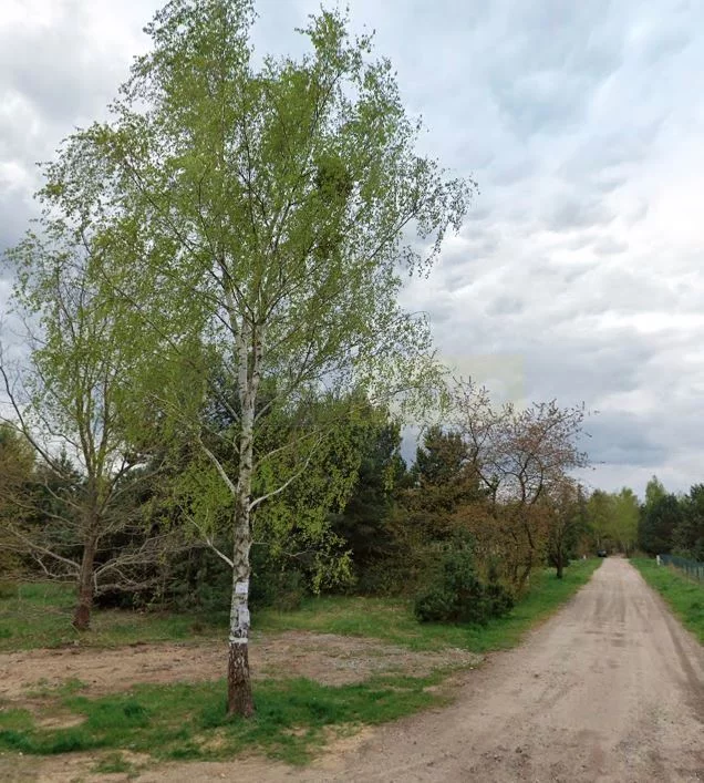Działka 1 000,00 m², oferta nr , 7371/2145/OGS, Łomianki