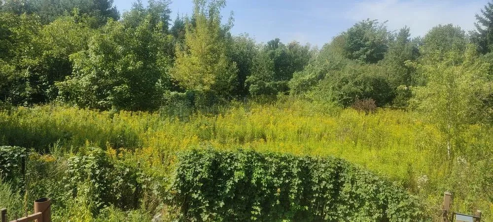 Działka 2 006,00 m², oferta nr , 7373/2145/OGS, Łomianki