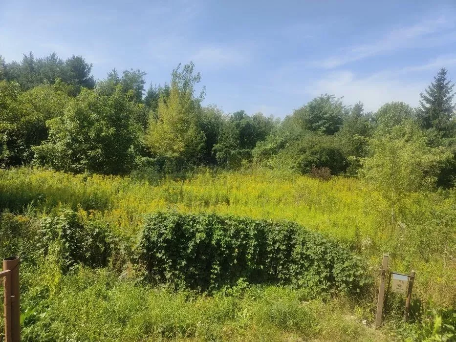 Działka 2 006,00 m², oferta nr , 7373/2145/OGS, Łomianki