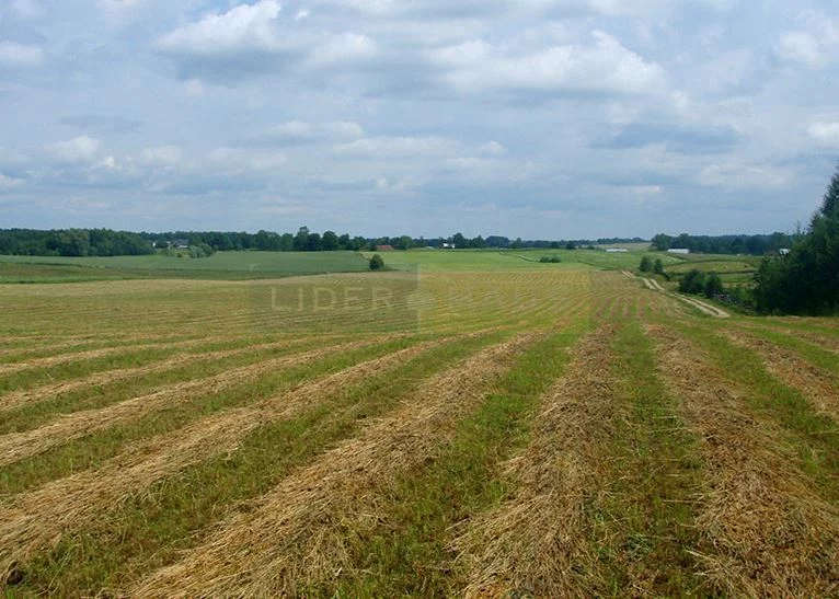 7200/2145/OGS - zdjęcie nr 4