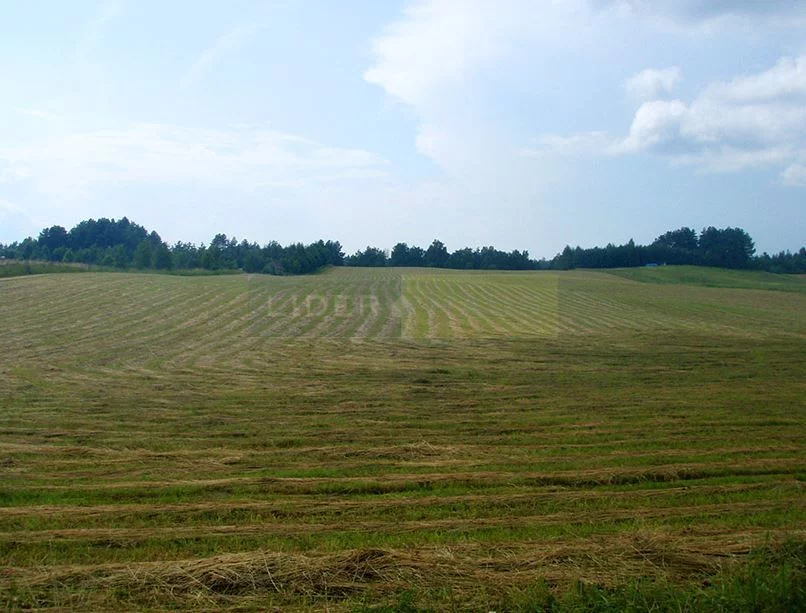 7200/2145/OGS - zdjęcie nr 5