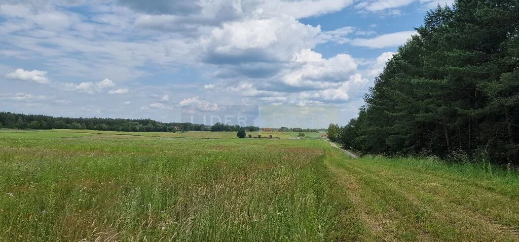 Działka 63 200,00 m², oferta nr , 7366/2145/OGS, Mikołajki