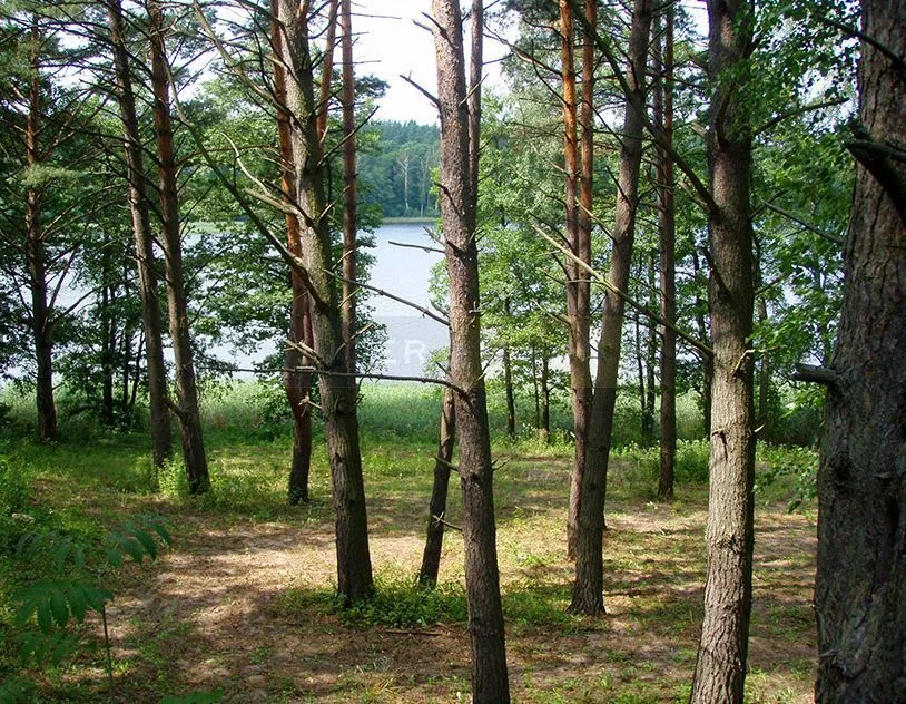 Działka 63 200,00 m², oferta nr , 7366/2145/OGS, Mikołajki