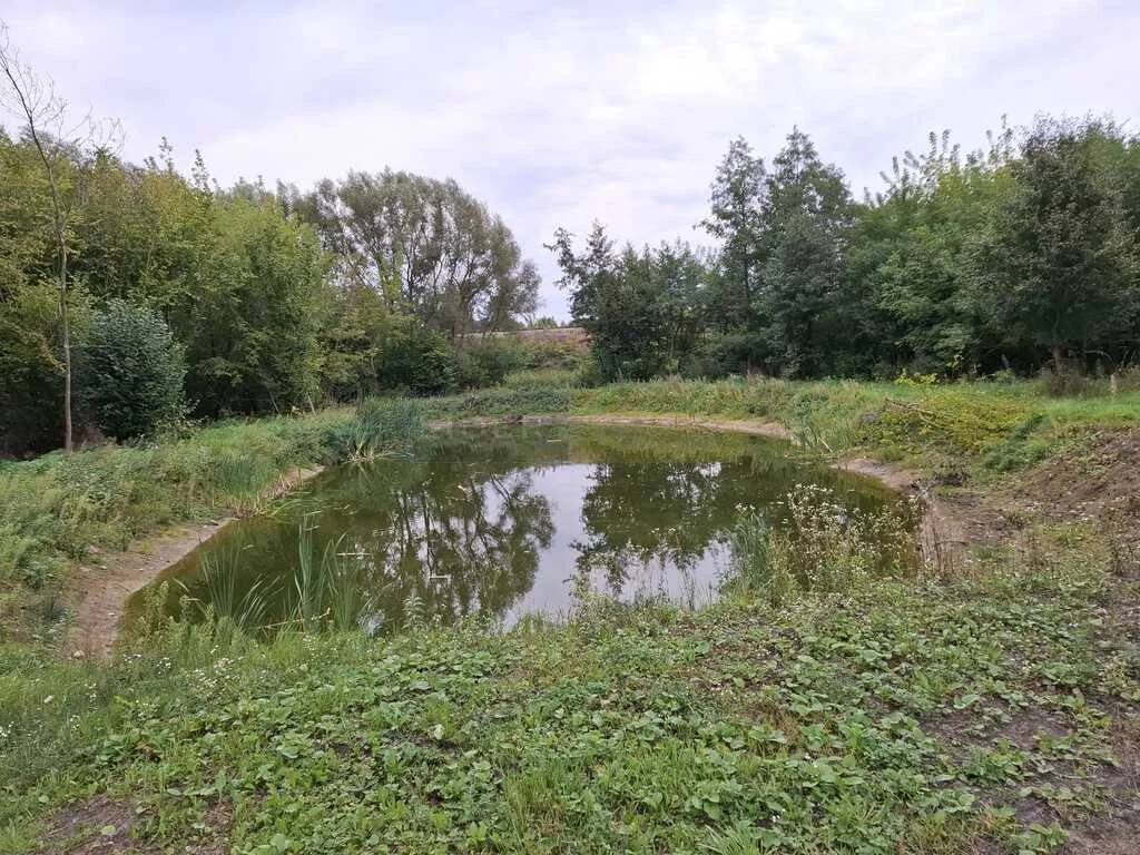 Działka 4 219,00 m², oferta nr , 7424/2145/OGS, Nasielsk