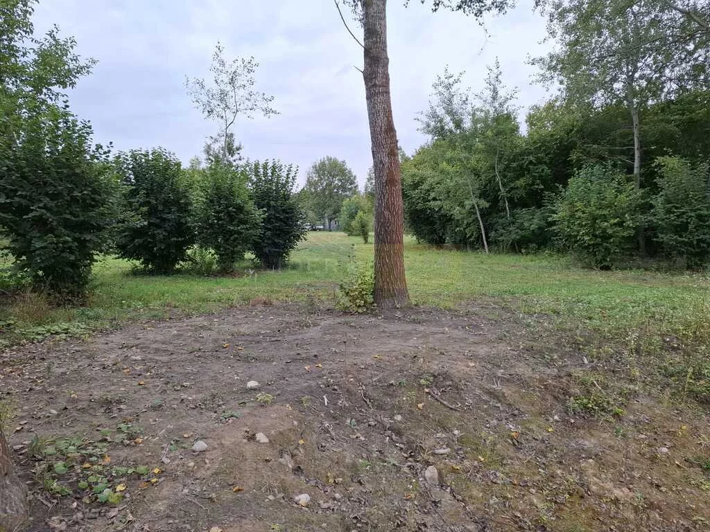 Działka 4 219,00 m², oferta nr , 7424/2145/OGS, Nasielsk