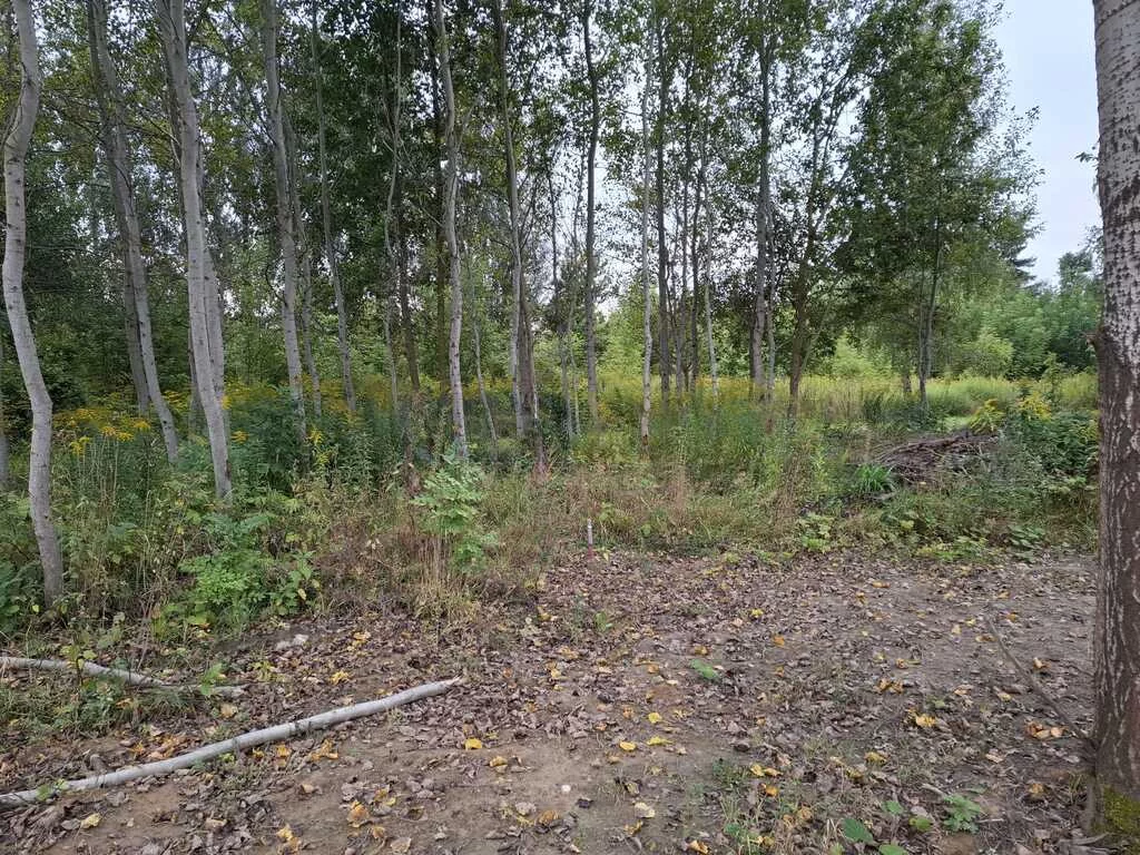 Działka 4 219,00 m², oferta nr , 7424/2145/OGS, Nasielsk