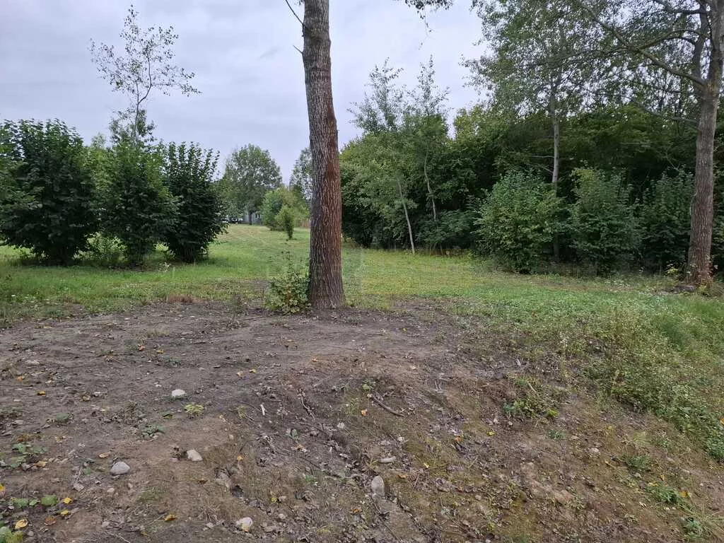 Działka 4 219,00 m², oferta nr , 7424/2145/OGS, Nasielsk