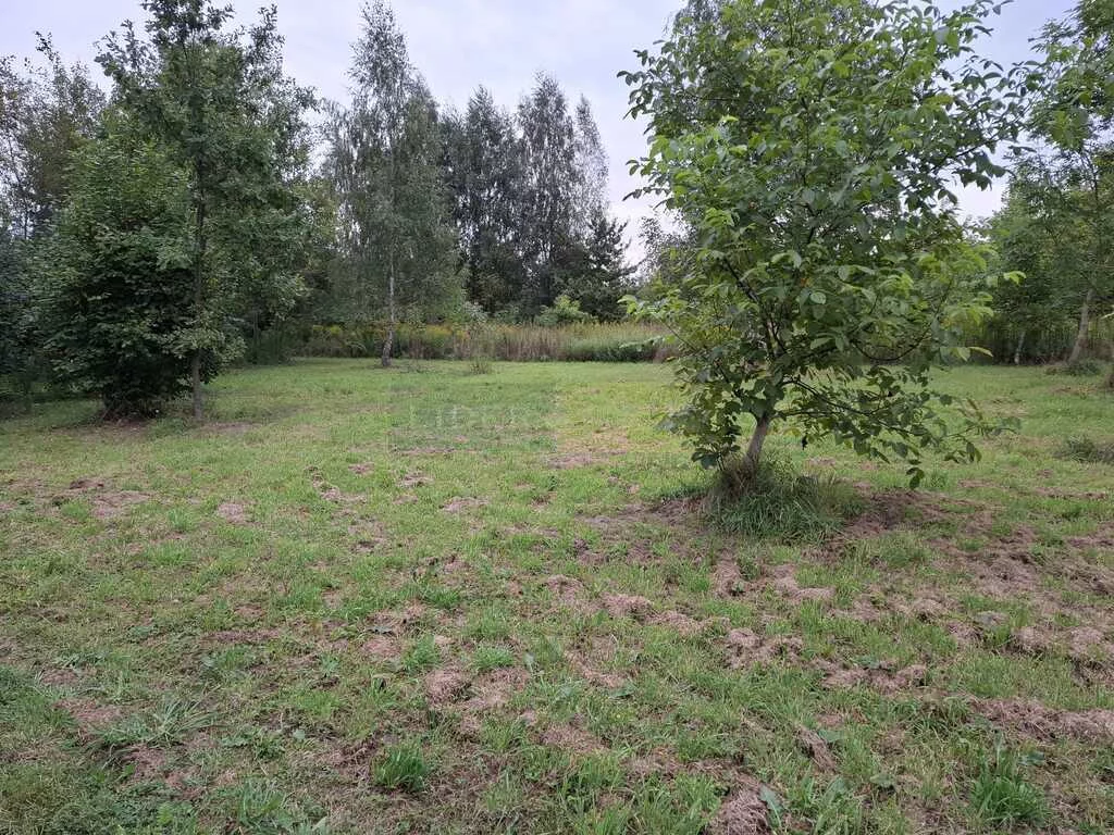 Działka 4 219,00 m², oferta nr , 7424/2145/OGS, Nasielsk