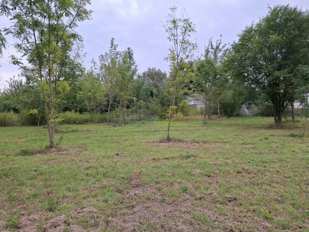 Działka 4 219,00 m², oferta nr , 7424/2145/OGS, Nasielsk