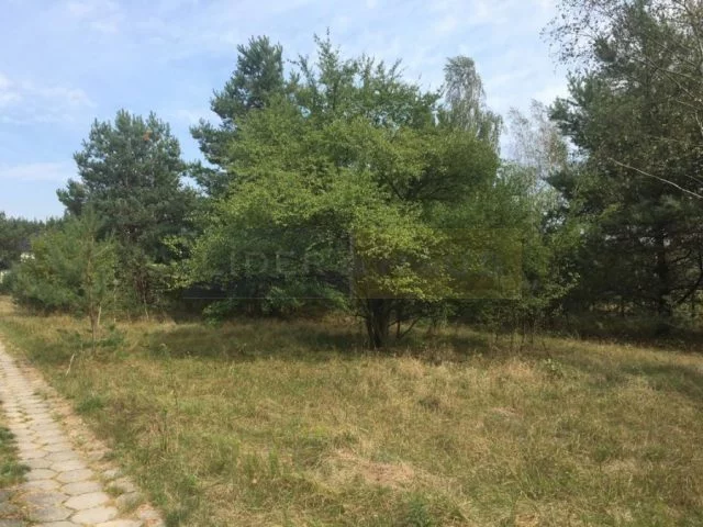 Apartamenty 7317/2145/OGS Pieńków