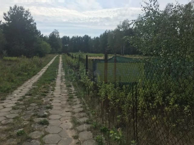 7317/2145/OGS - zdjęcie nr 0