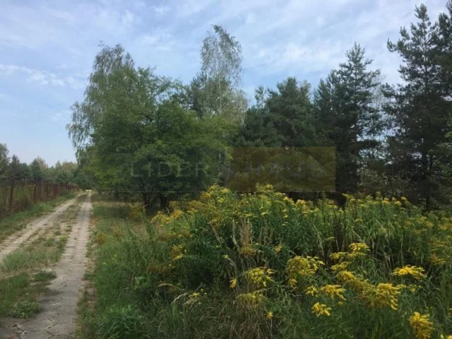 Działka 3 000,00 m², oferta nr , 7317/2145/OGS, Pieńków