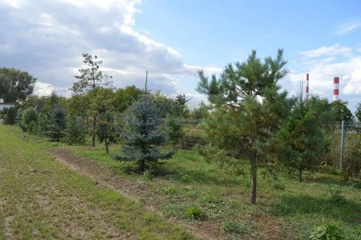 1085/2145/OGS - zdjęcie nr 3