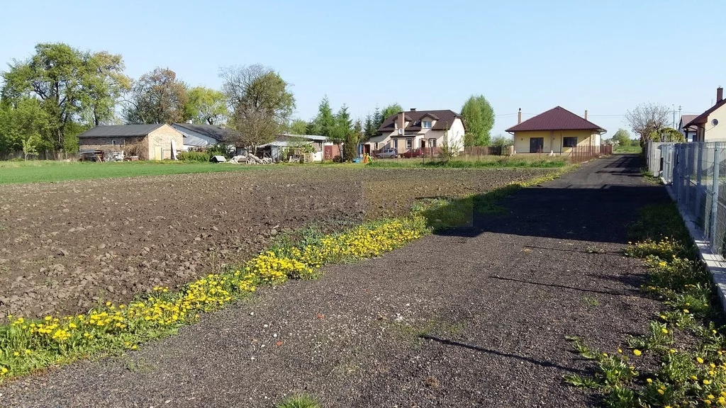 Działka 3 000,00 m², oferta nr , 1612/2145/OGS, Wierzbin