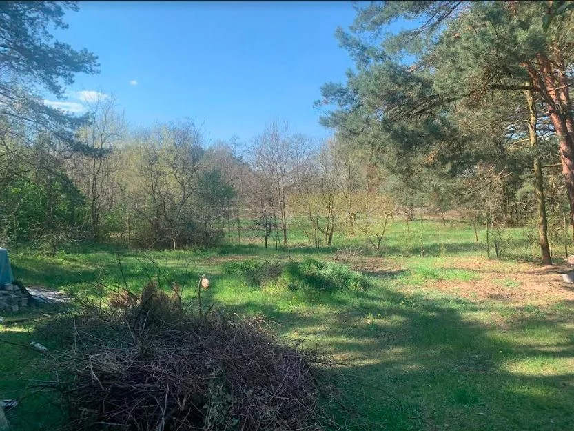 Lokal użytkowy 500,00 m², oferta nr , 597/2145/OLS, Czosnów