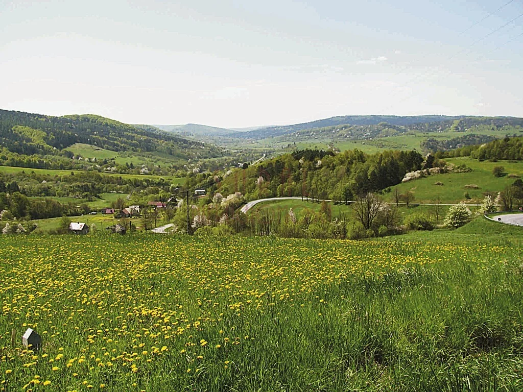 Działka 110 000,00 m², oferta nr , 79/4005/OGS, Komańcza, Bieszczady/siedlisko/gmina Komańcza