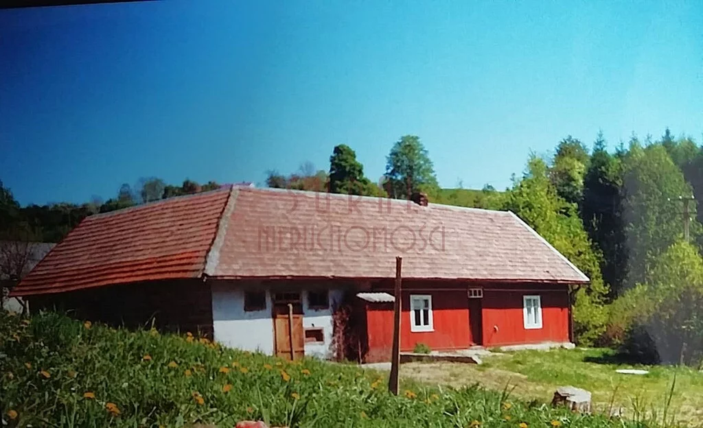 79/4005/OGS - zdjęcie nr 2