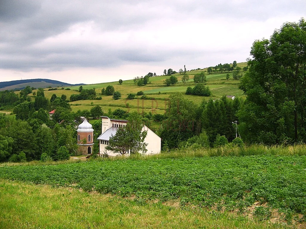 Działka 5 200,00 m², Kulaszne, Kulaszne/Bieszczady/działka widokowa, Sprzedaż