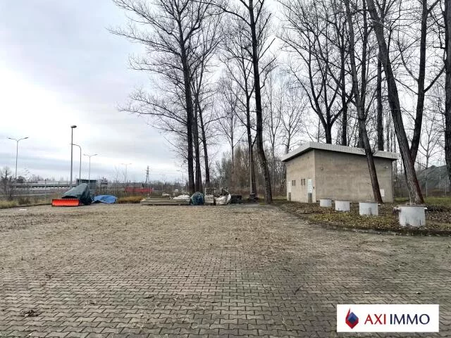 10026 - zdjęcie nr 0