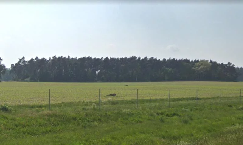 Działka 30 000,00 m², Niepruszewo, Sprzedaż