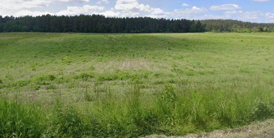 Działka 140 000,00 m², Pelplin, Sprzedaż